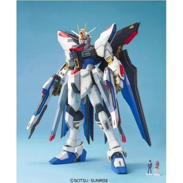 1/100 Mg Gundam"Seed"Dest 1