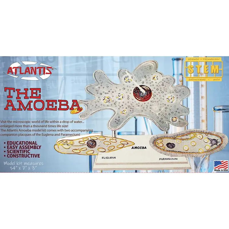 Amoeba Sng Cell Kit Stem 1