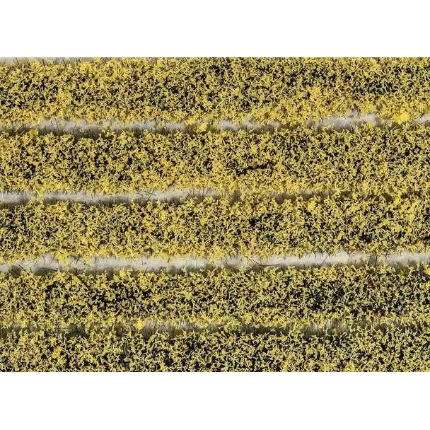Daffodils Tuft 4Mm (10) 1