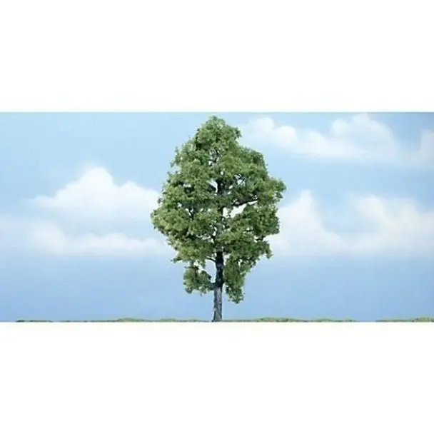 & Hickory 5 3/4" Prem Tre 1