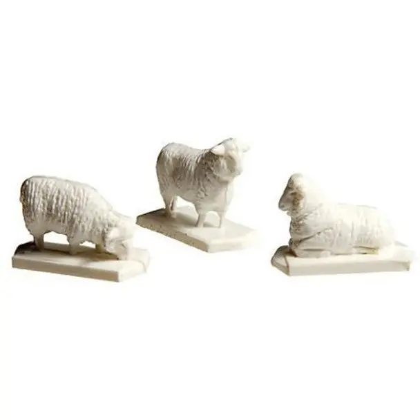Ho Sheep 18 White/1 Black 1