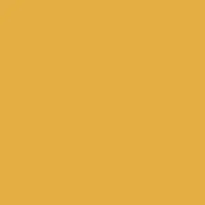 Mission Model Paints Mmp125 New Construction Yellow 1