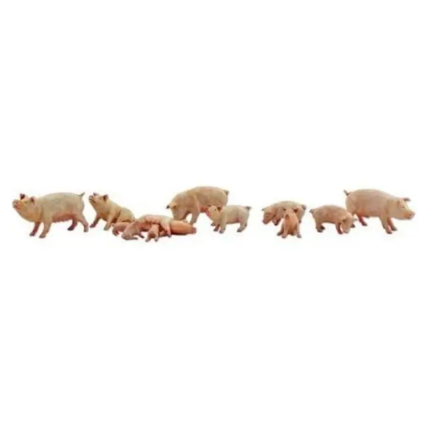 N Yorkshire Pigs 1