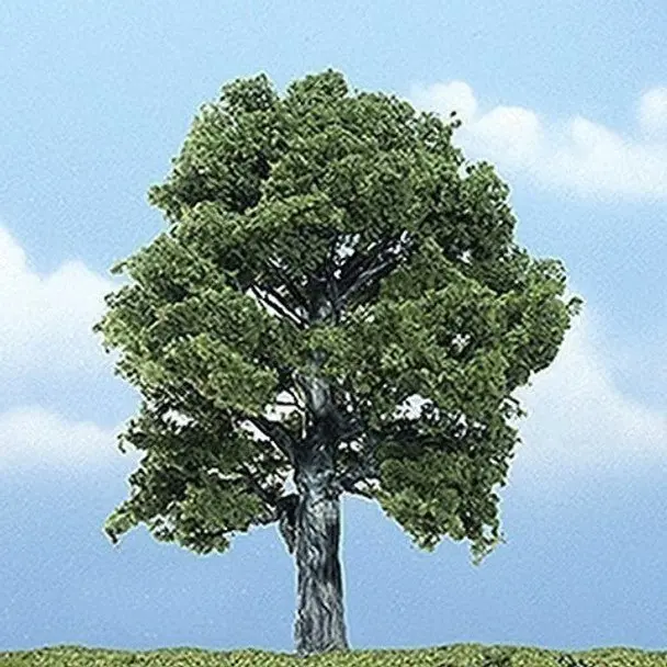 Oak 5" Prem Tree 1