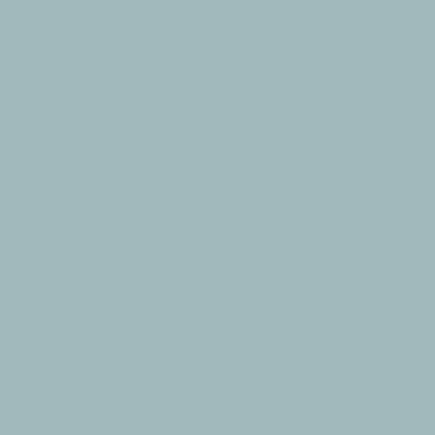 Tru-Color 5-L Light Gray 1 Oz 1