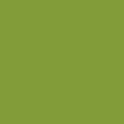 Tru-Color Nitro Yellow Green 1